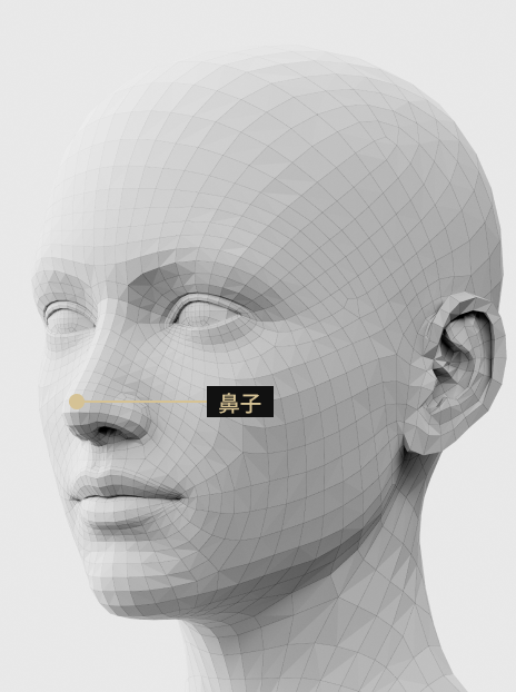 圖片描述：鼻部填充治療可自然改善鼻樑、鼻樑和鼻尖。