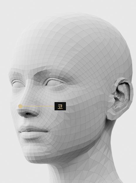 콧대·콧등·코끝 라인을 자연스럽게 개선하는 코 필러 시술 설명 이미지