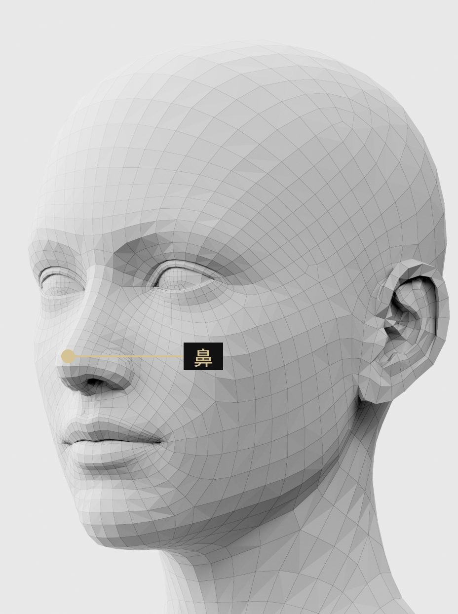 鼻袋・鼻灯・鼻先ラインを自然に改善するコピラー施術説明画像