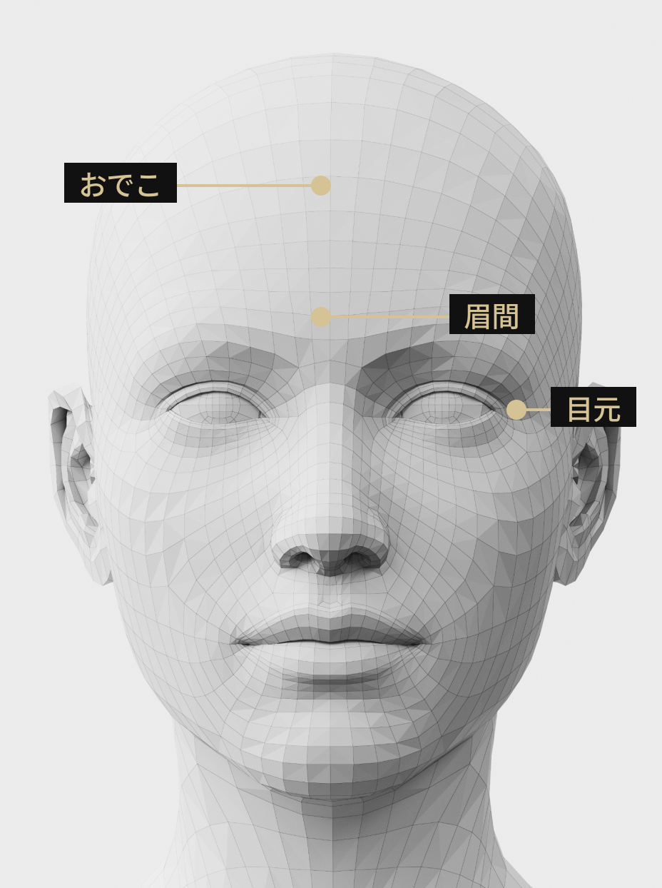 額・眉間・目元などスキンボトックス適用部位を示した顔部位案内画像