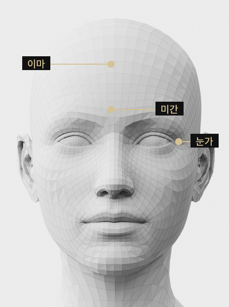이마·미간·눈가 등 스킨 보톡스 적용 부위를 나타낸 얼굴 부위 안내 이미지