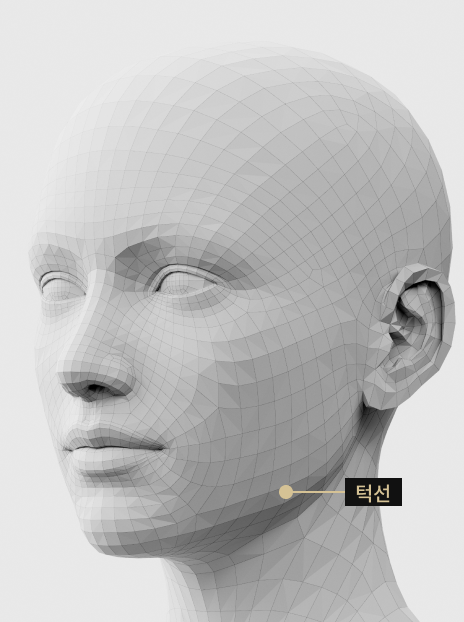 귀 밑 턱선의 꺼짐과 처짐을 매끈하게 개선하는 턱선 필러 시술 이미지