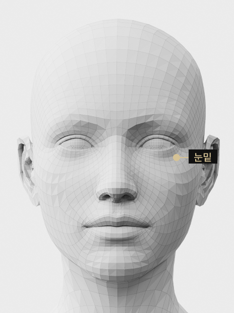 눈 밑 잔주름과 탄력 개선을 위한 보톡스 시술 부위 설명 이미지