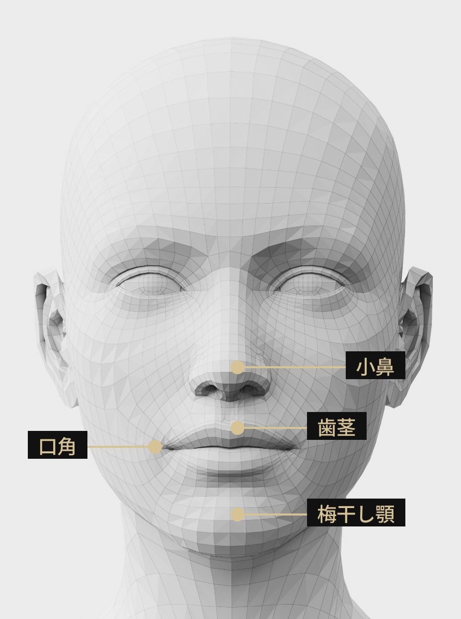 鼻玉・歯茎・小石顎・口尾ボトックス適用部位を示す説明画像