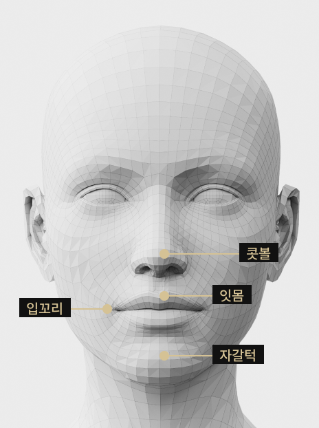 콧볼·잇몸·자갈턱·입꼬리 보톡스 적용 부위를 보여주는 설명 이미지