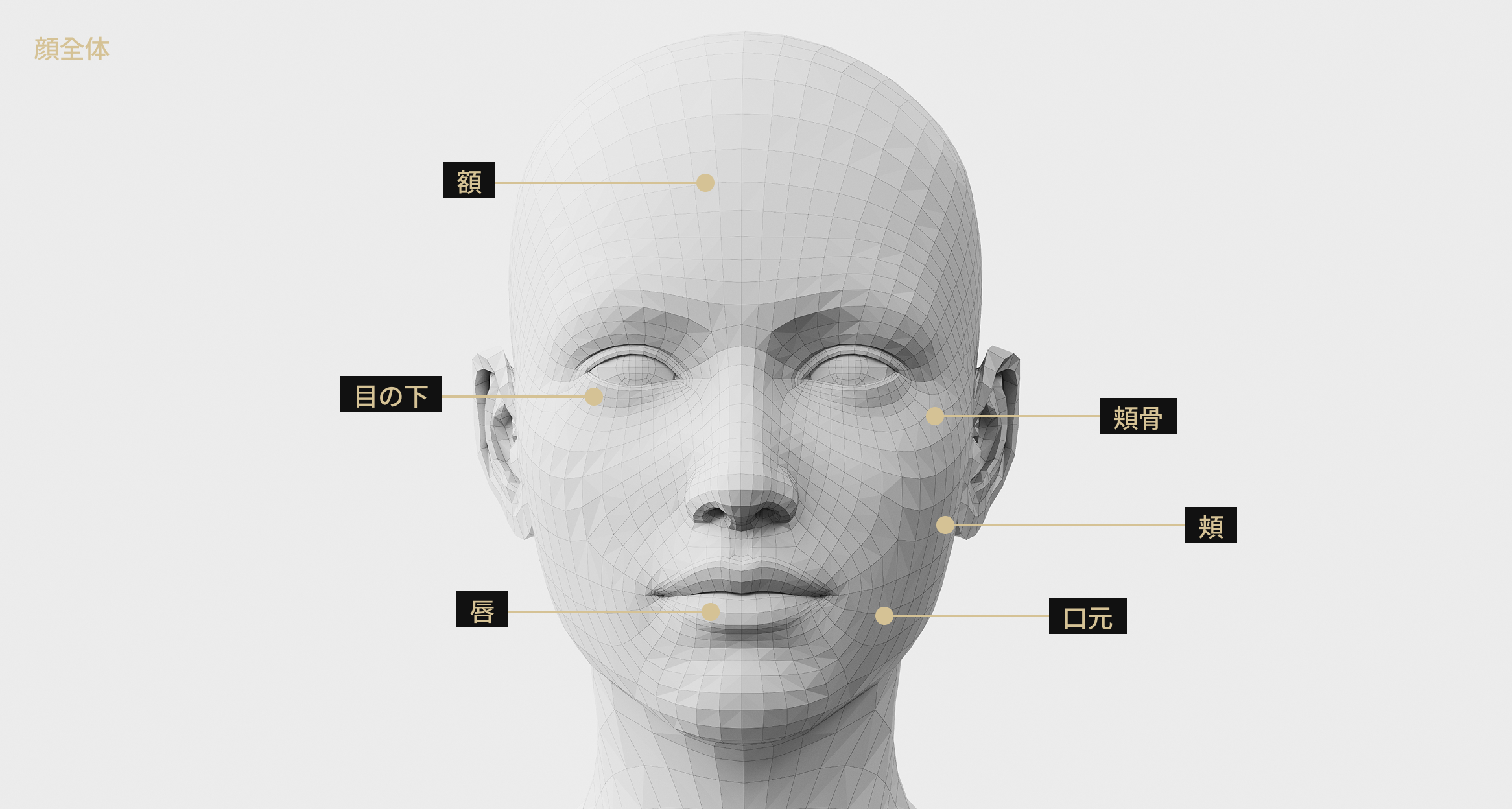 額、道化師、口元、目の下、唇、ボールなど顔全体のハイドラフェイシャル施術部位を表示した顔モデル画像
