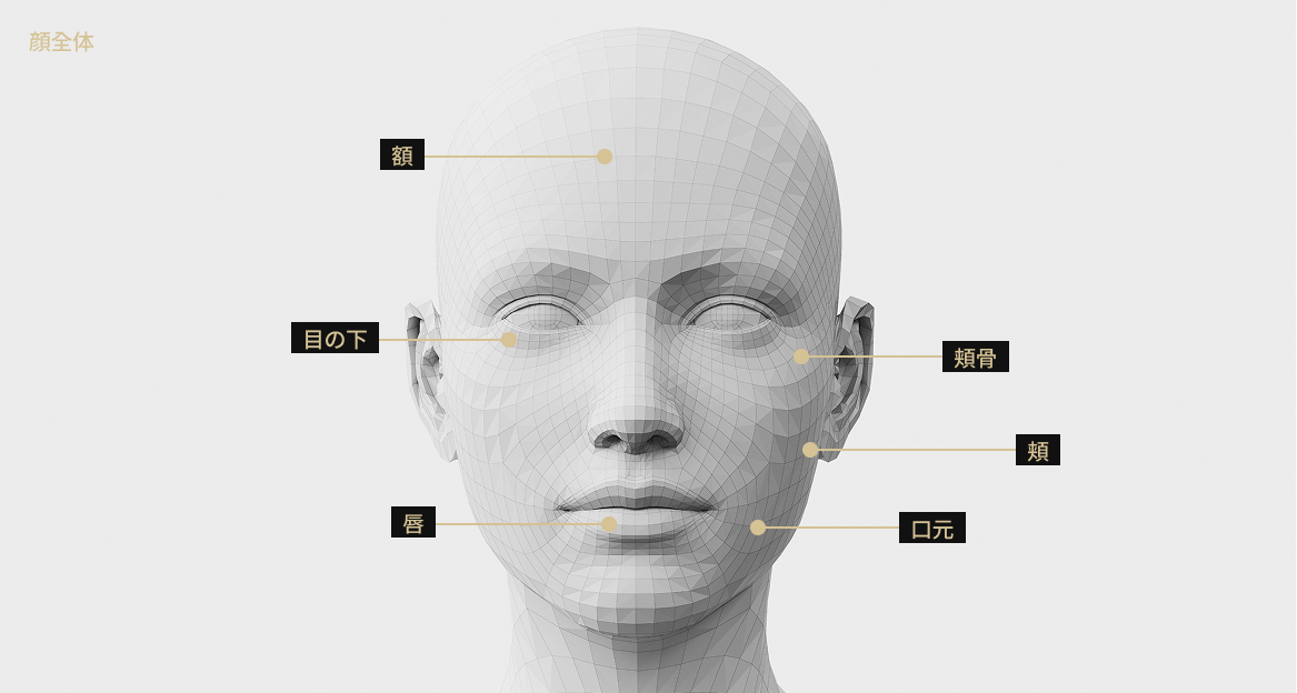 額、道化師、口元、目の下、唇、ボールなど顔全体ララフィル施術部位を表示した顔モデル画像