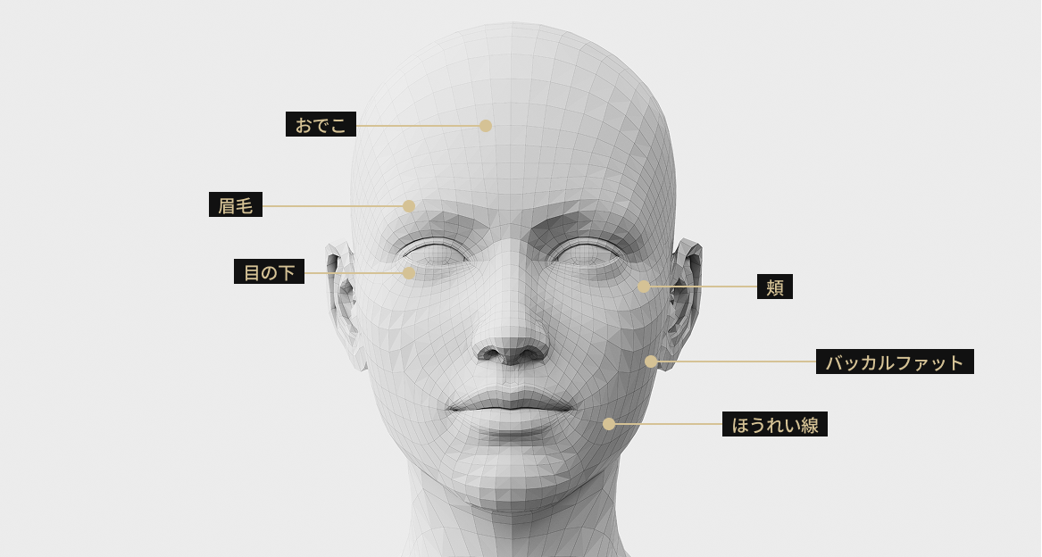 額、眉毛、ボール、腕のしわ、目の下、深部ボール、眉間などポテンザ施術部位を表示した顔モデル画像
