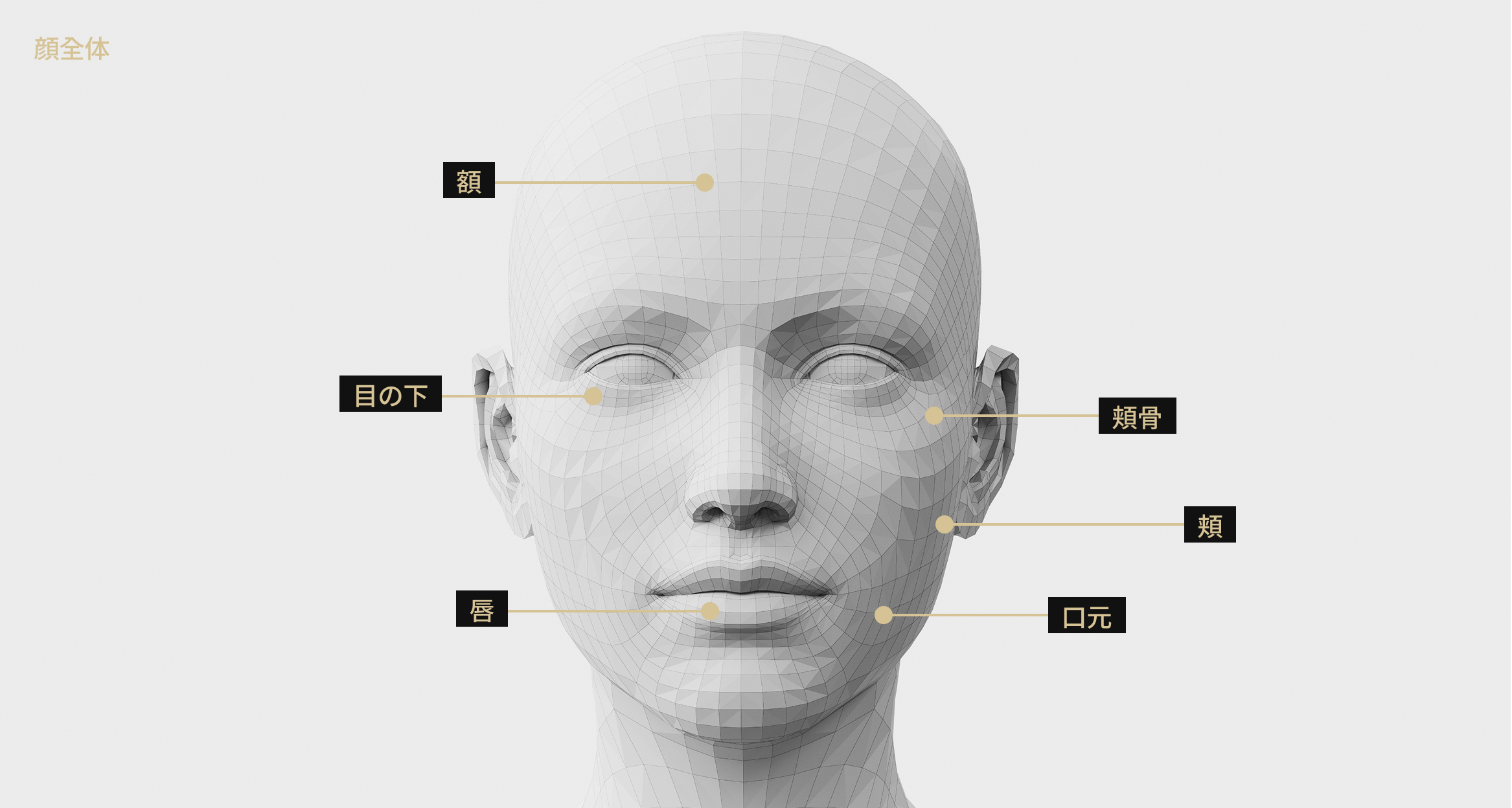 リジュラン施術可能な顔部位を表示した3D顔モデル画像