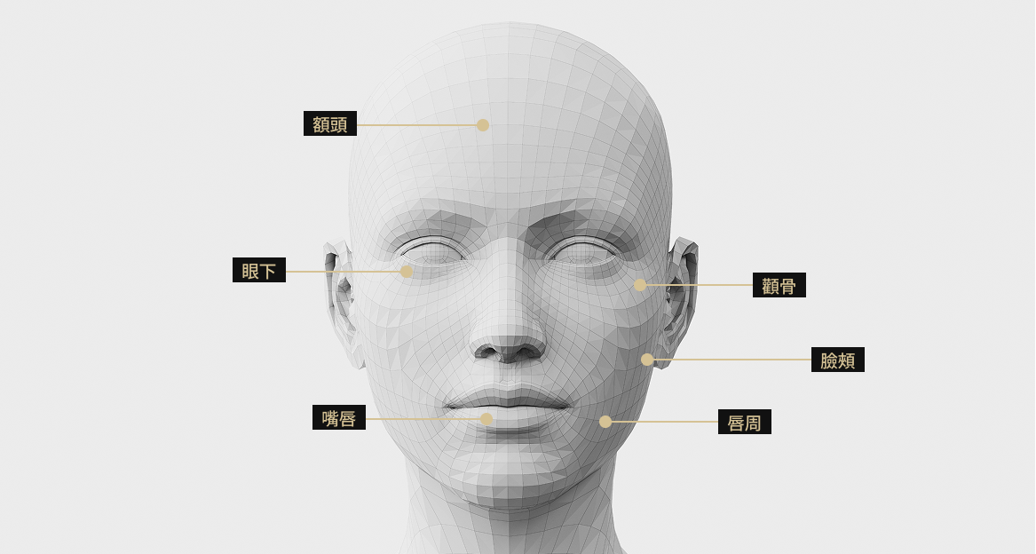 3D臉部模型影像顯示了適合接受Rejuran治療的臉部區域