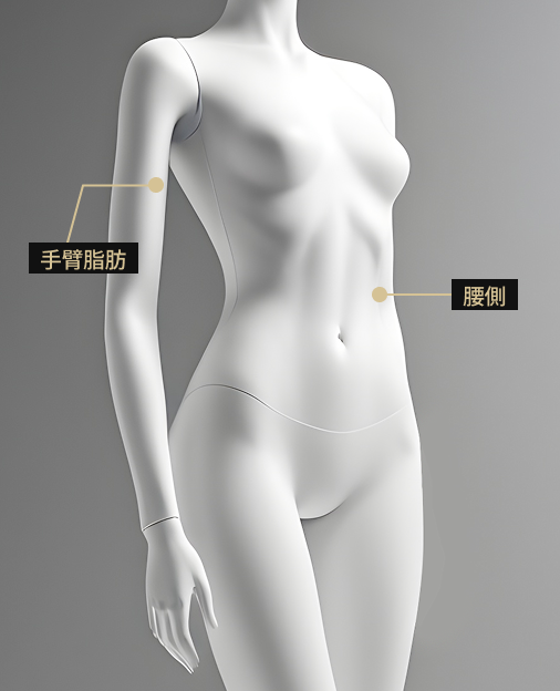 身體影像顯示了Onda Lifting療法的應用部位（下半身）