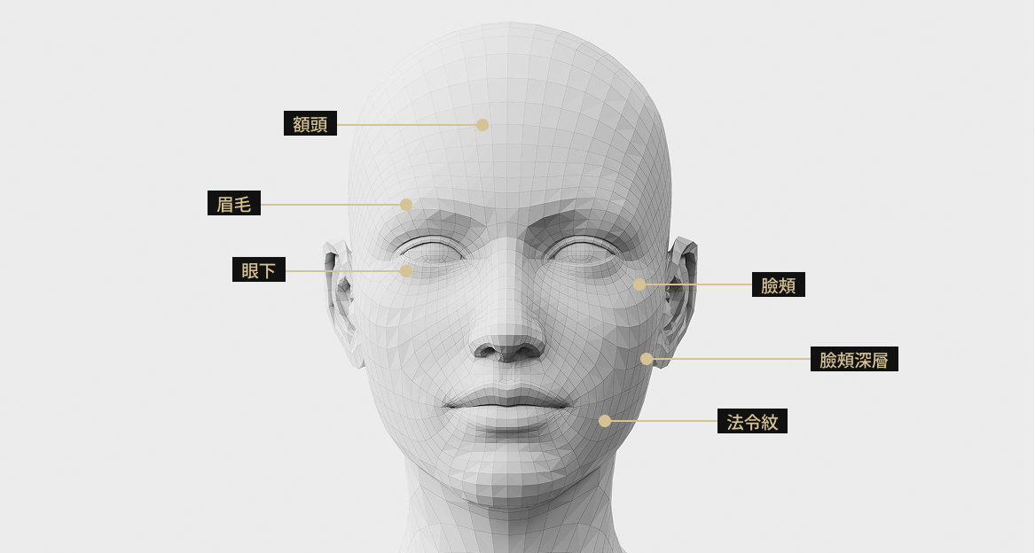 臉部模型影像顯示了適合使用普利司他治療的區域，包括額頭、眉毛、臉頰、法令紋、眼下、臉頰深處和眉間。
