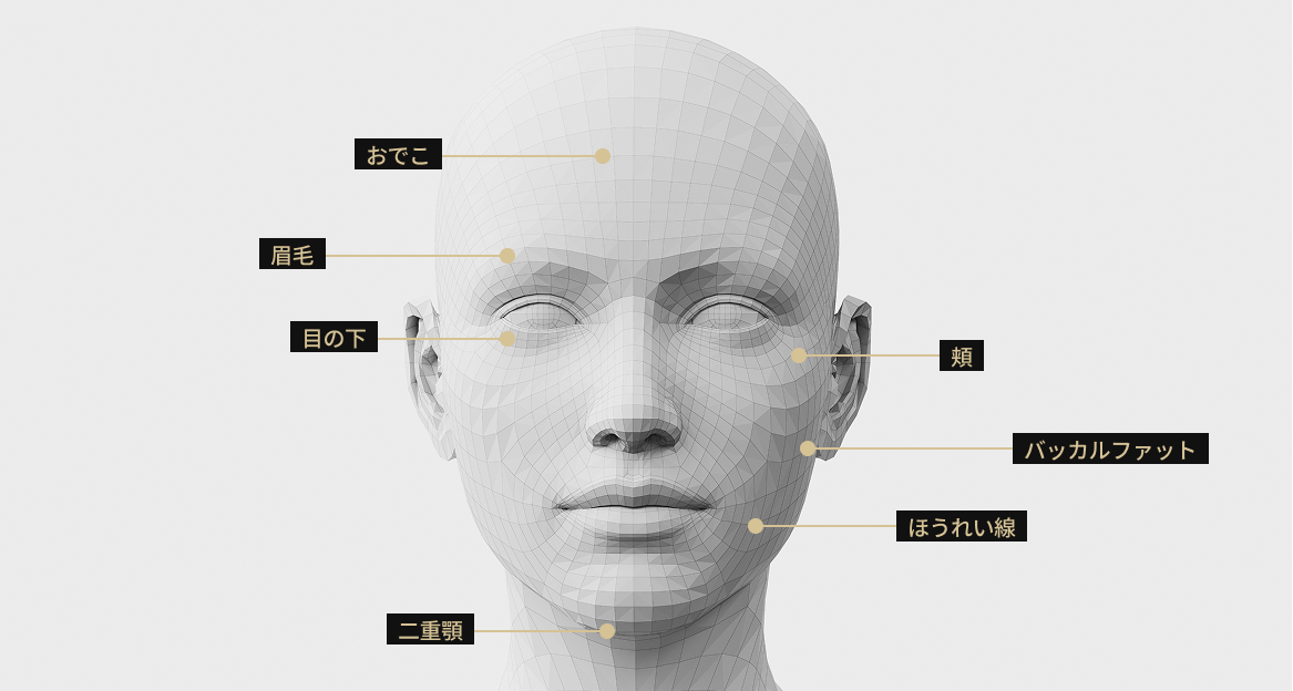 サーマジFLX適用部位を表示した3D顔モデル画像