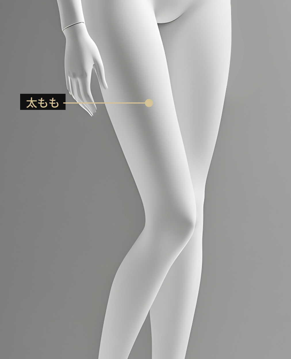 オンダリフティング適用部位を表示したボディ画像（上体）