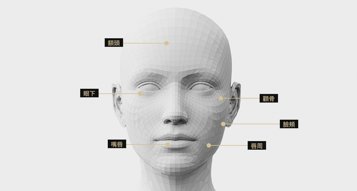 一張臉部模型圖片顯示了整個臉部接受水光煥膚治療的區域，包括額頭、顴骨、嘴角、眼下、嘴唇和臉頰。