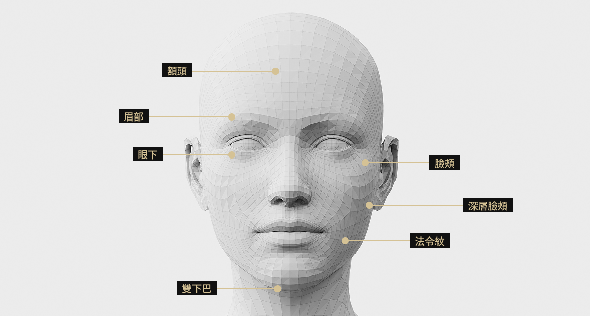 臉部模型影像顯示了 LinearG 療程的適應症區域，包括額頭、眉毛、臉頰、法令紋、雙下巴、眼下和深頰。