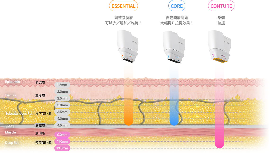 圖示超音波結構，使用深度為 9 至 13 毫米的探頭來定位特定身體部位。