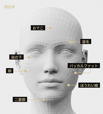 額、眉毛、ボール、腕のしわ、二重顎、目の下、深部ボールなどシュリンクユニバース施術部位を表示した顔モデル画像