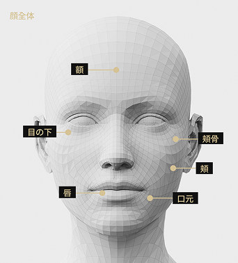 額、道化師、目の下、口元、唇、ボールなどリリドM手術部位を表示した顔モデル画像