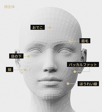 額、眉毛、ボール、腕のしわ、目の下、深部ボール、眉間などポテンザ施術部位を表示した顔モデル画像
