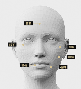3D 人臉模型影像顯示了 Skin Vibe 的應用區域。