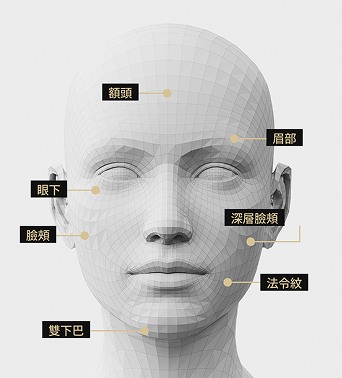 臉部模型圖片顯示了鈦治療區域，例如額頭、眉毛、臉頰、法令紋、雙下巴、眼下區域和深頰區域。