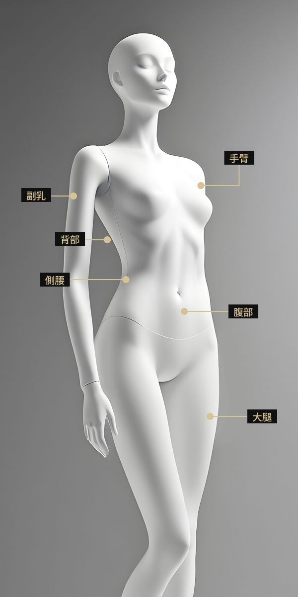 人體模型影像顯示了使用 Body Inmode 進行治療的部位，包括腹部、乳房下垂、大腿、上臂、背部和側腰。