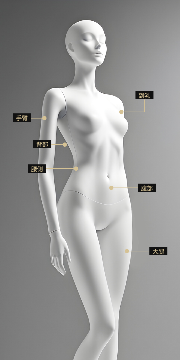 人體模型影像顯示了將使用身體 HIFU 治療的部位，包括腹部、乳房、大腿、上臂、背部和側腰。
