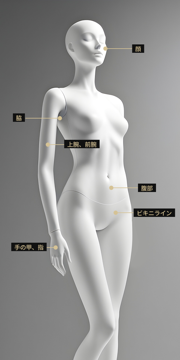 全身脱毛が可能なクラリティレーザー施術部位を表現したボディモデル画像
