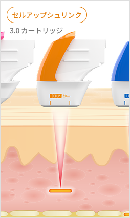 表皮層から真皮層、SMAS層までの超音波エネルギー伝達を示す皮膚構造説明画像