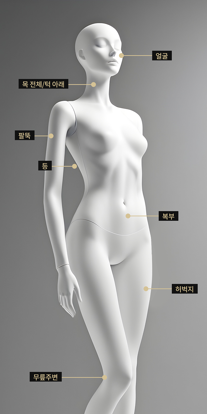 얼굴 전체, 목, 복부, 허벅지, 팔뚝, 등 부위에 적용 가능한 LDM 시술 부위를 표시한 바디 모델 이미지
