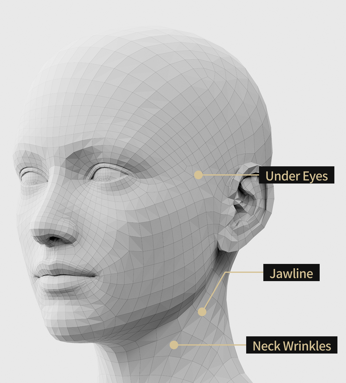 3D face model side image