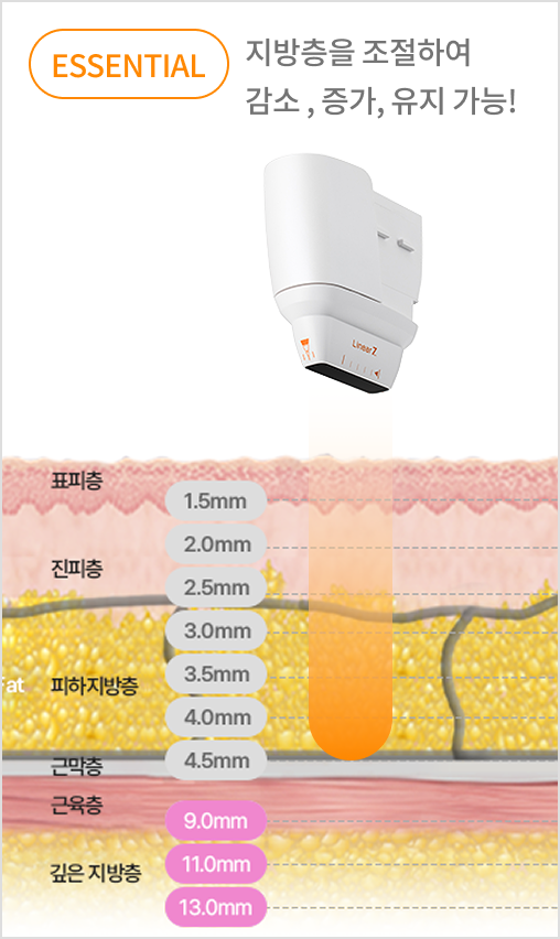 카트리지 깊이 조절로 진피층과 SMAS층을 정밀 타겟팅하는 리니어지 구조 설명 이미지