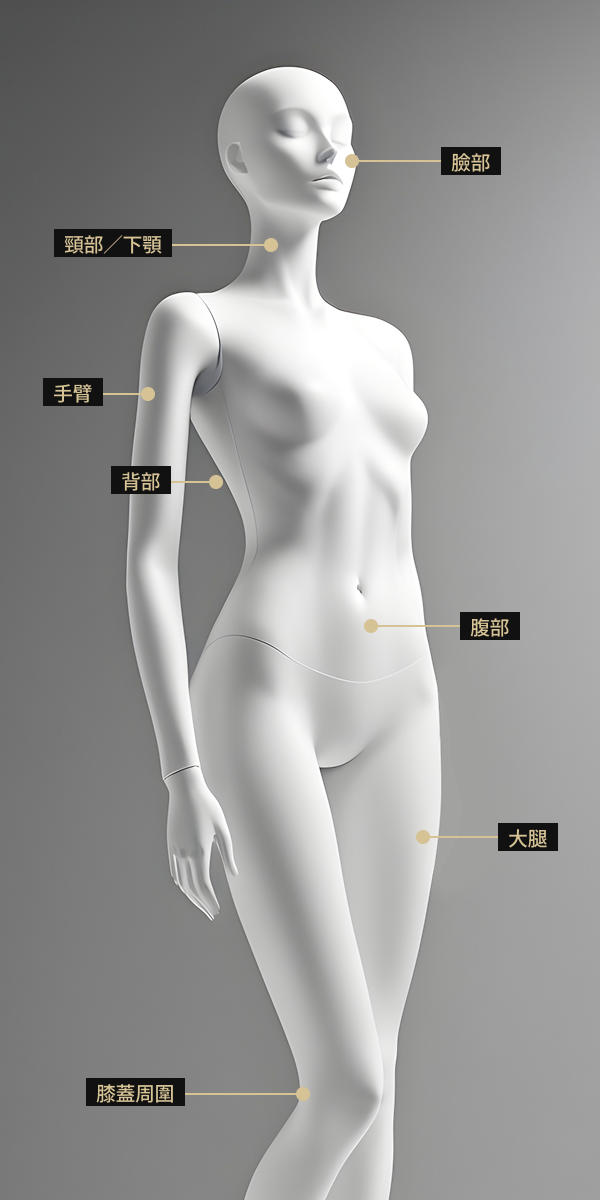 人體模型圖片展示了LDM治療區域，適用於臉部、頸部、腹部、大腿、上臂和背部。