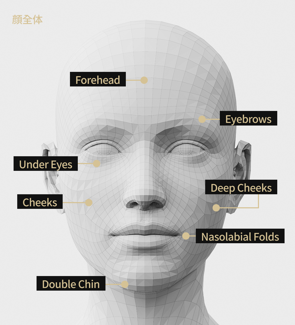 A facial model image showing the areas where LinearG treatment is indicated, including the forehead, eyebrows, cheeks, nasolabial folds, double chin, under the eyes, and deep cheeks.