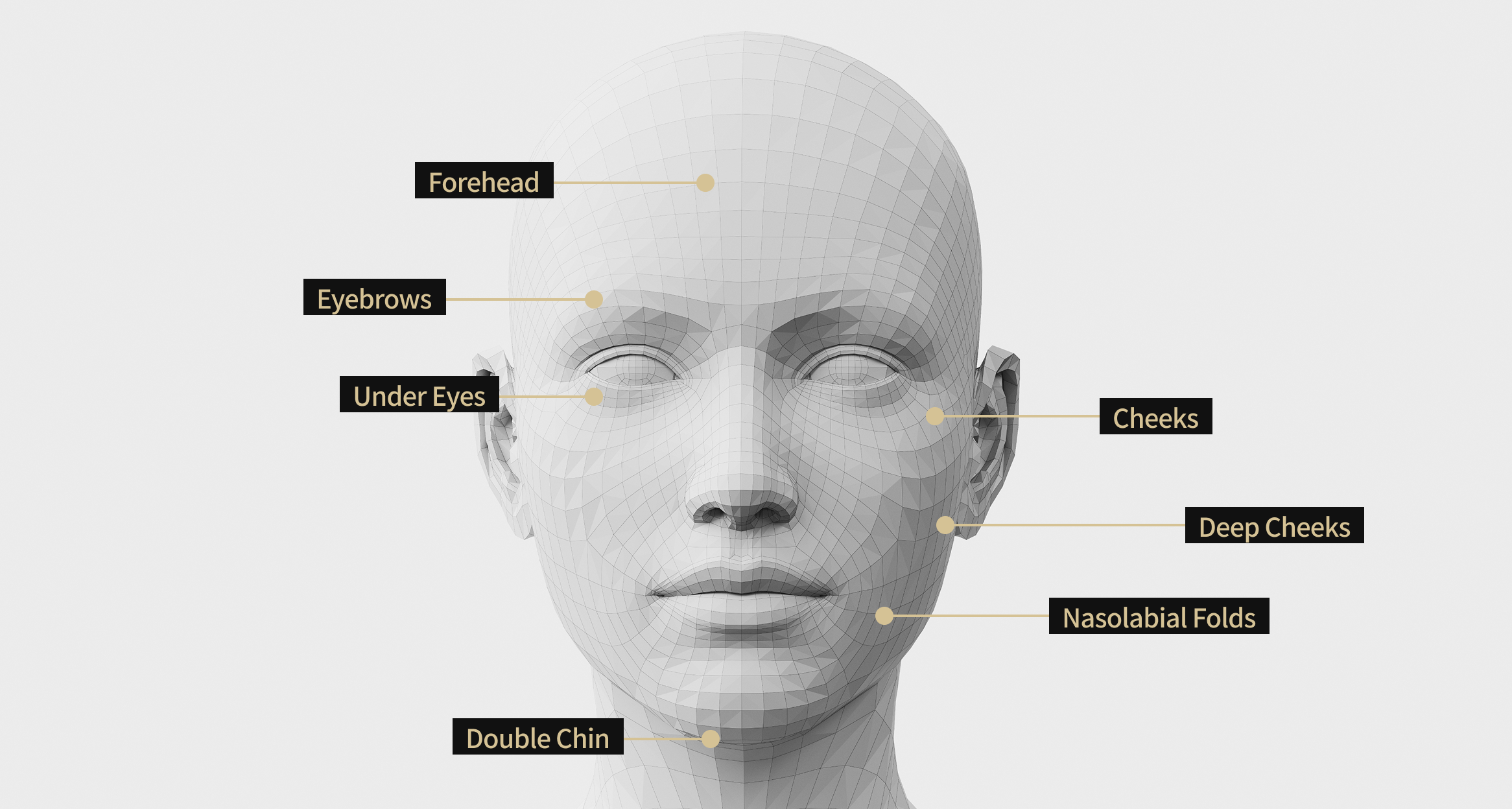 Face model image showing the areas where OligoX treatment is indicated, including the forehead, eyebrows, cheeks, nasolabial folds, double chin, under the eyes, and deep cheeks.