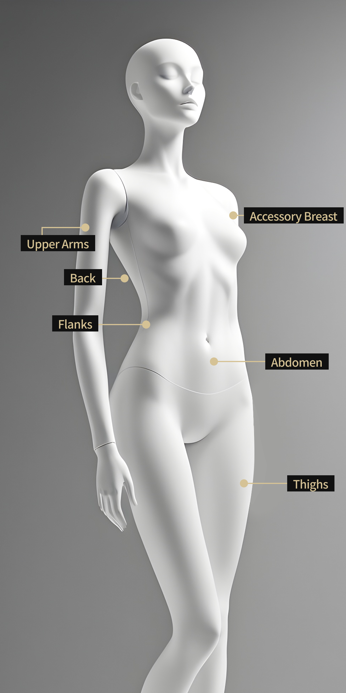 Body model image showing the areas to be treated with Body Inmode, including the abdomen, floating breasts, thighs, upper arms, back, and sides.