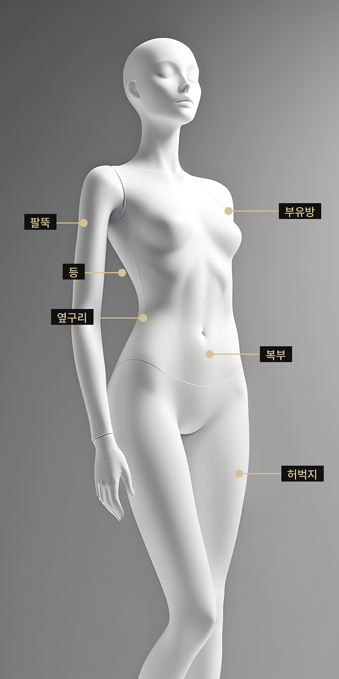 복부, 부유방, 허벅지, 팔뚝, 등, 옆구리 등 바디 하이푸 시술 부위를 표시한 바디 모델 이미지
