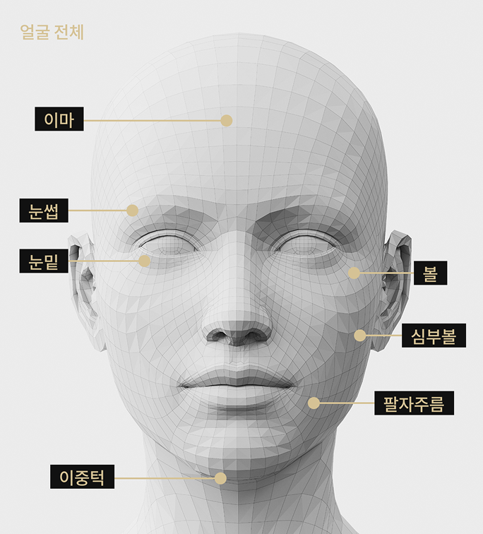 이마, 눈썹, 볼, 팔자주름, 이중턱, 눈 밑, 심부볼 등 브이로 리프팅 시술 부위를 표시한 얼굴 모델 이미지
