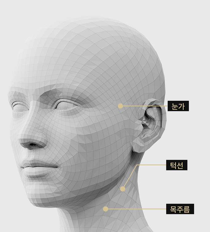3D 얼굴 모델 측면 이미지