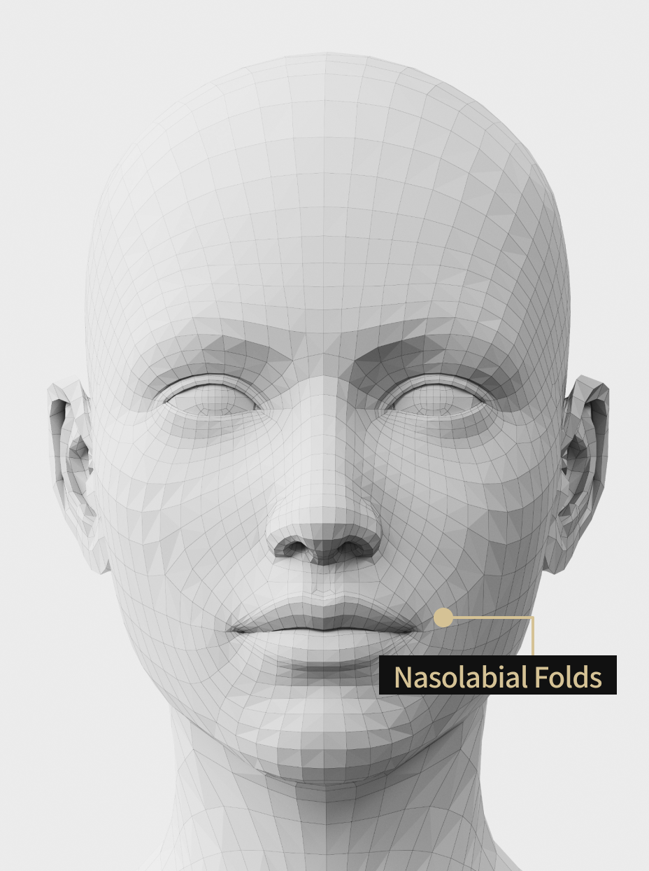 Image explaining Botox treatment to improve skin elasticity around nasolabial folds.