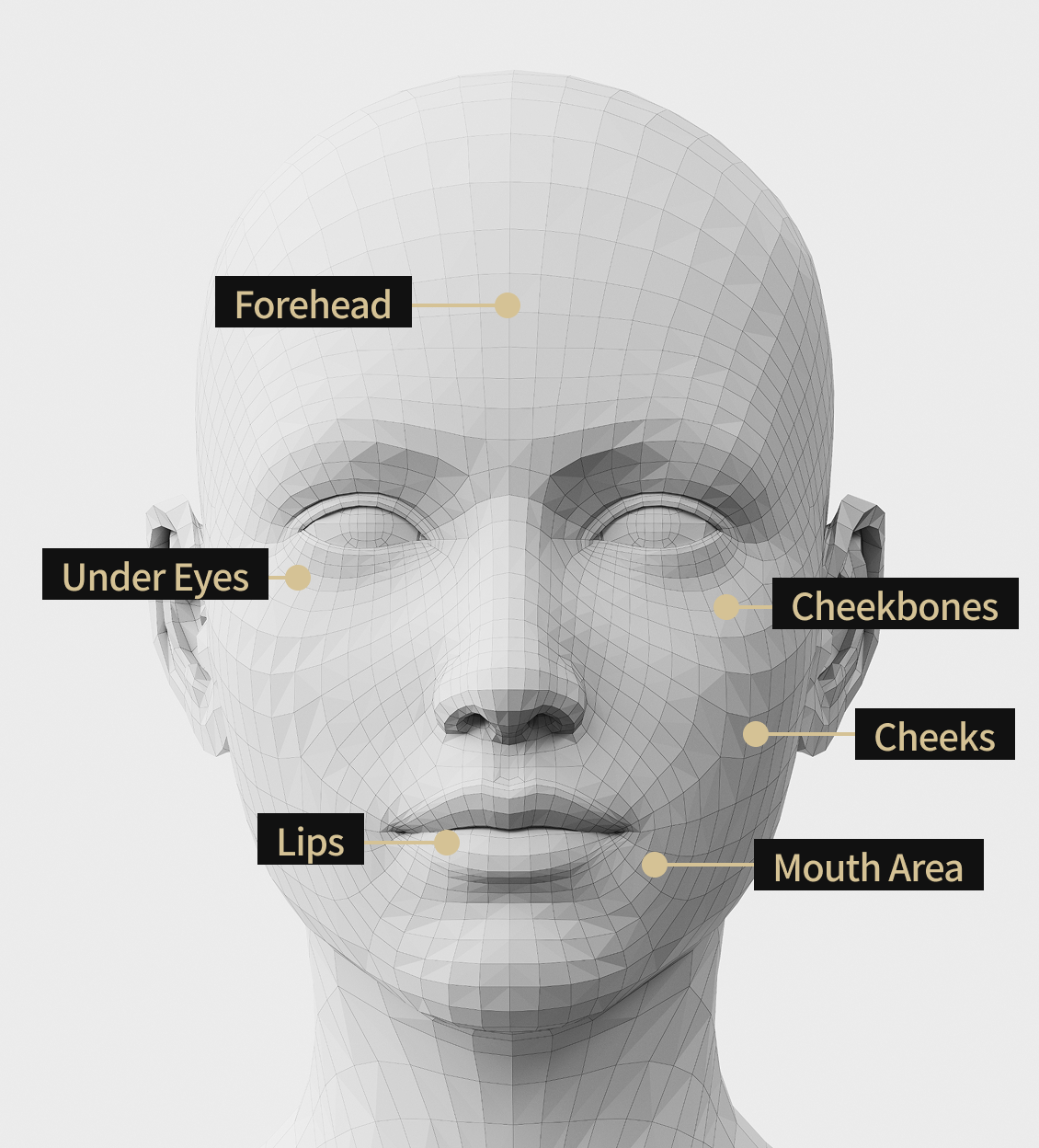 Facial model image showing areas eligible for exosome treatment, including the forehead, cheekbones, corners of the mouth, under the eyes, lips, and cheeks.