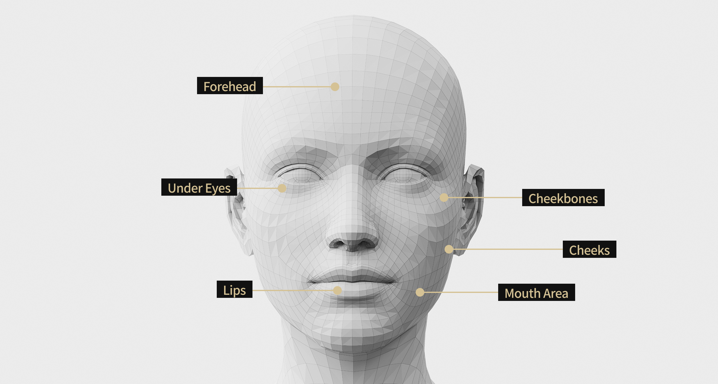 Face model image showing the areas where Liliid M was treated, including the forehead, cheekbones, under the eyes, corners of the mouth, lips, and cheeks.