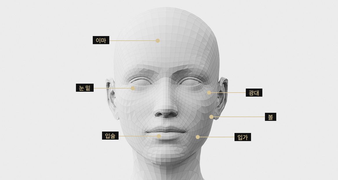 리쥬란 시술 가능한 얼굴 부위를 표시한 3D 얼굴 모델 이미지