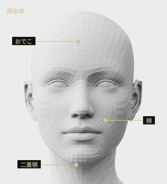 3D人臉模型正面影像