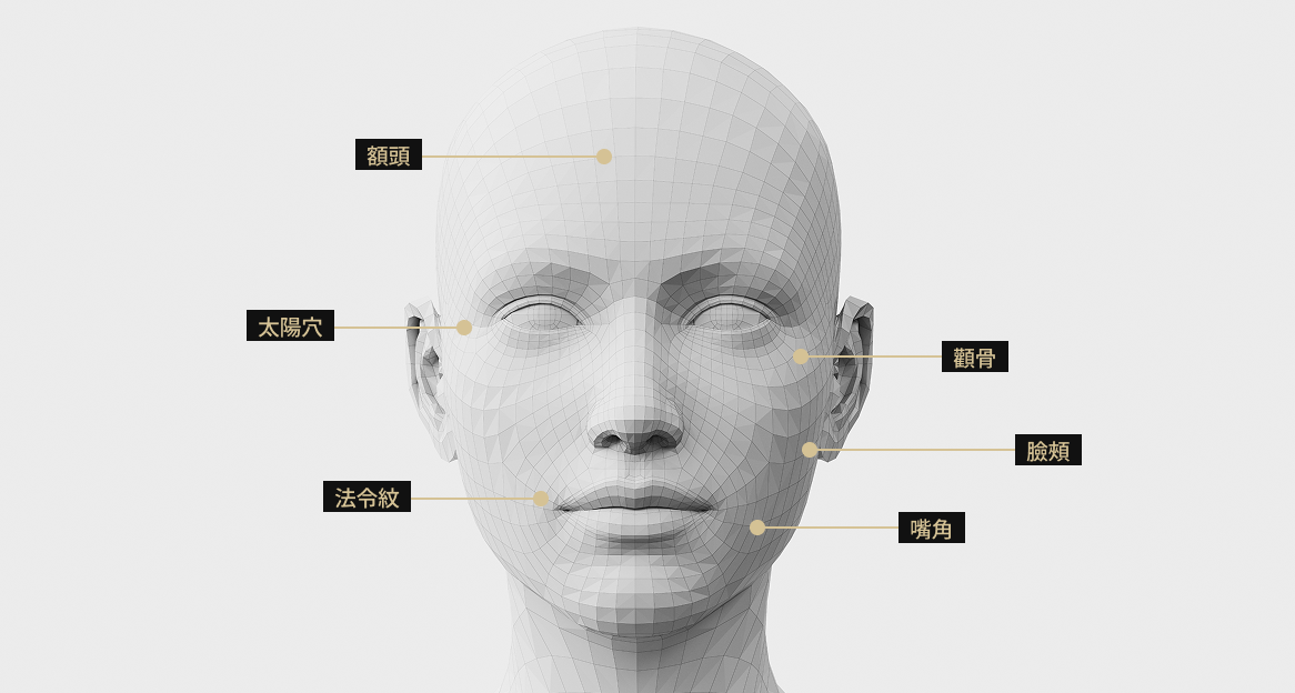 臉部模型影像顯示了 Liliid M 接受治療的區域，包括額頭、顴骨、眼睛下方、嘴角、嘴唇和臉頰。