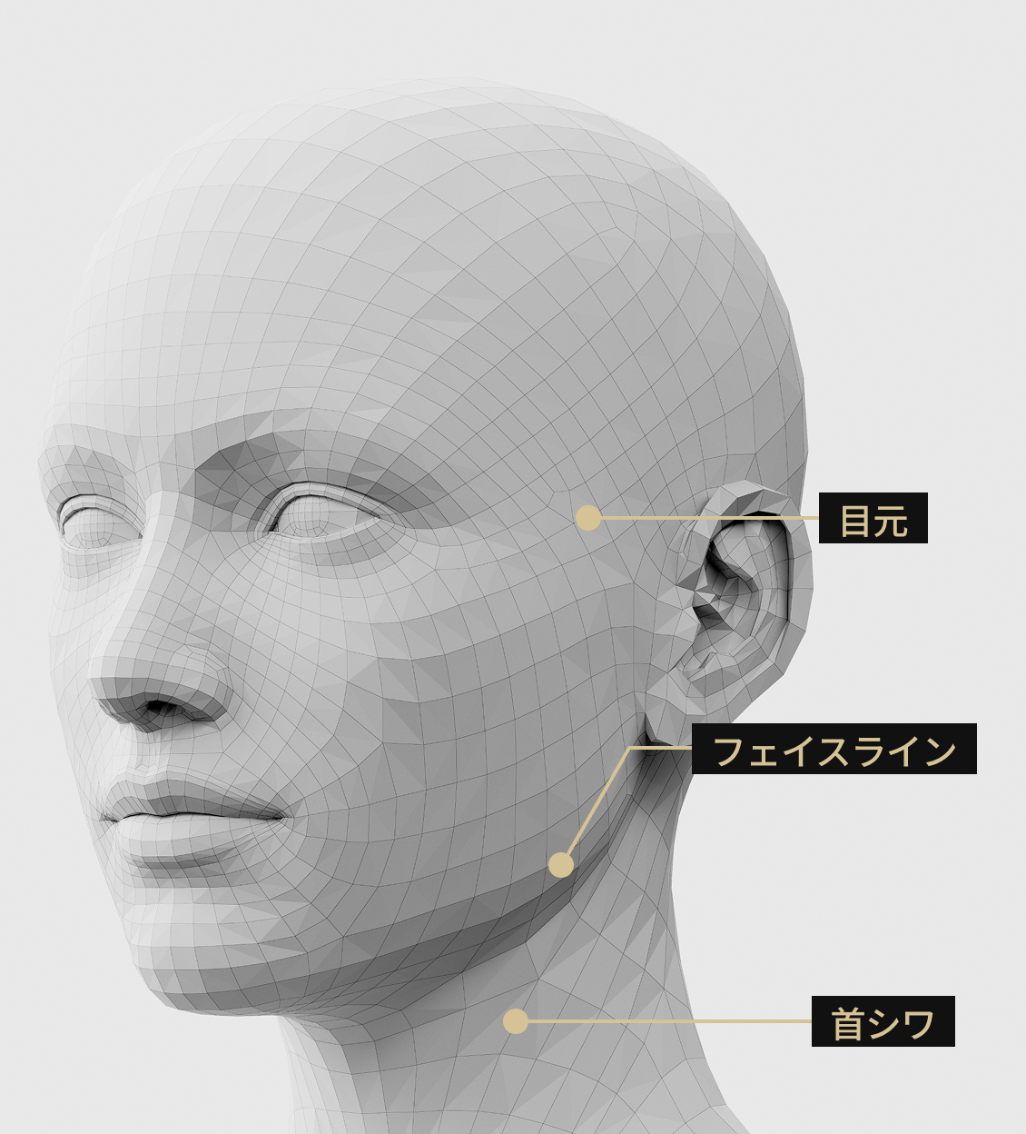 3D顔モデル側面画像