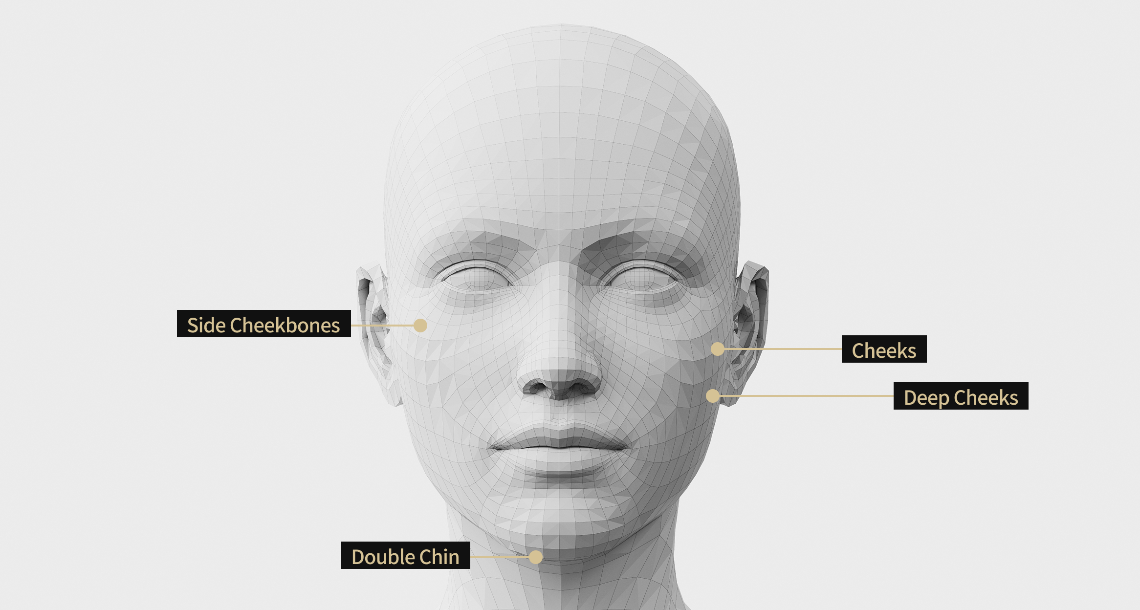 3D facial model image showing the areas where Onda Lifting is applied