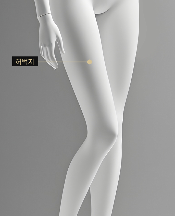 온다 리프팅 적용 부위를 표시한 바디 이미지 (하체)