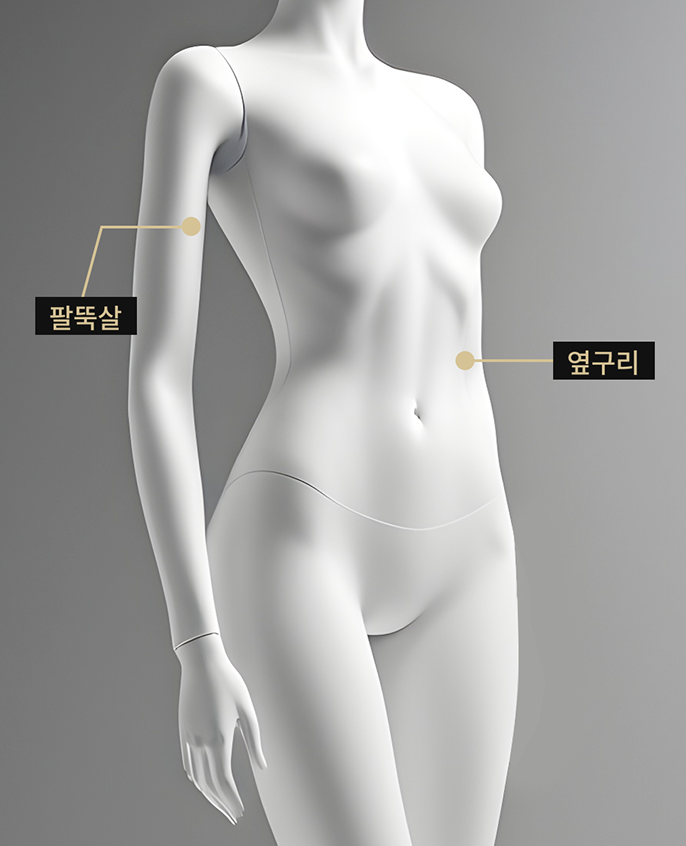 온다 리프팅 적용 부위를 표시한 바디 이미지 (상체)